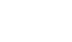 Precise Background Services